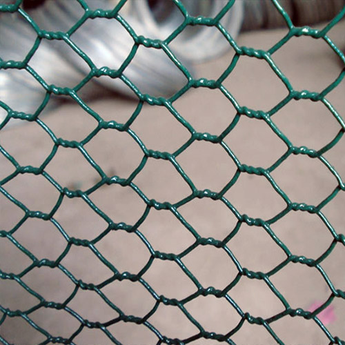 Hexagonal-Wire-Netting1
